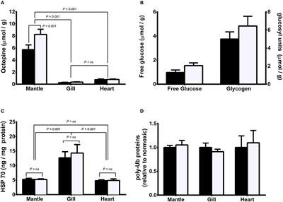 Corrigendum: Hypoxic Induced Decrease in Oxygen Consumption in Cuttlefish (Sepia officinalis) Is Associated with Minor Increases in Mantle Octopine but No Changes in Markers of Protein Turnover